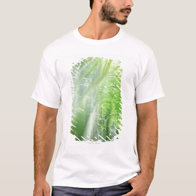 Axlar av solljus tee (Framsida)