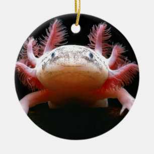 Axolotl Axolotl.png Julgransprydnad Keramik