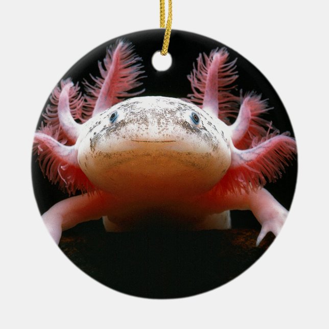 Axolotl Axolotl.png Julgransprydnad Keramik (Framsidan)