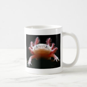 Axolotl Axolotl.png Kaffemugg