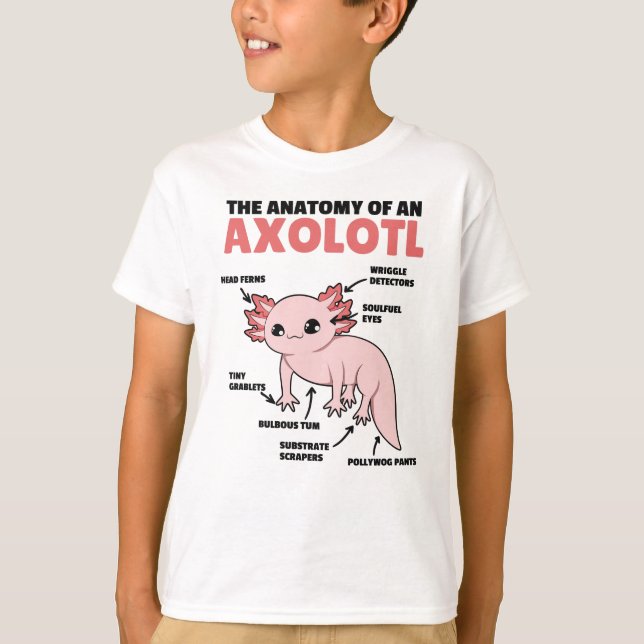 Axolotl Explanation Anatomy Of An Axolotl T Shirt (Framsida)