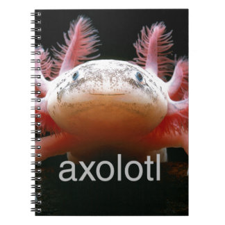 Axolotl för AxolotlAxolotlAxolotl Anteckningsbok