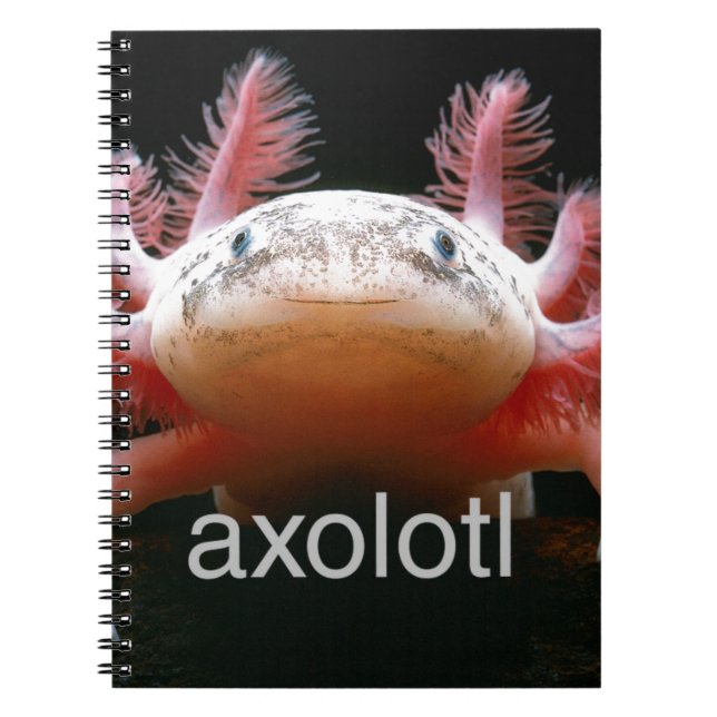 Axolotl för AxolotlAxolotlAxolotl Anteckningsbok (Framsidan)