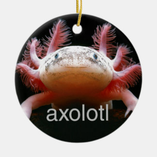 Axolotl för AxolotlAxolotlAxolotl Julgransprydnad Keramik