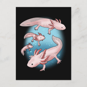 Axolotl Gift Kids Kawaii Axolotl Gifts Manar Axolo Vykort