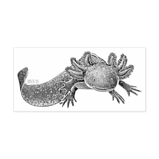 Axolotl-gummistämpel Stämpel (Tryck)