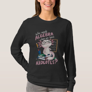 Axolotl Math Teacher Mexican Salamander Matemtemte T Shirt