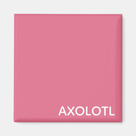 Axolotl rosa färg namn magnet