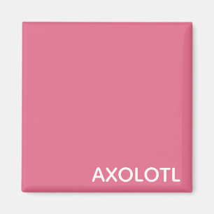 Axolotl rosa färg namn magnet