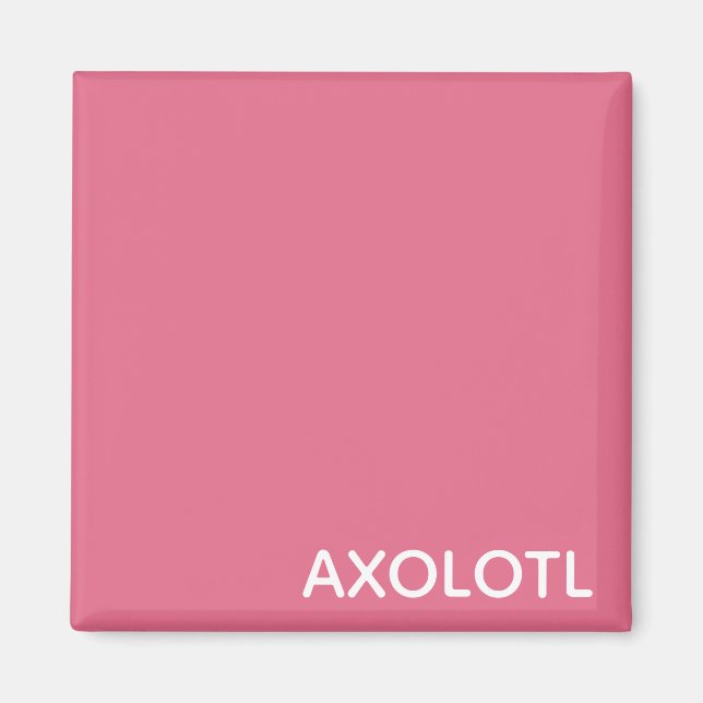 Axolotl rosa färg namn magnet (Framsidan)