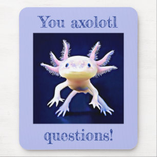 Axolotl Salamander Amphibian Musmatta
