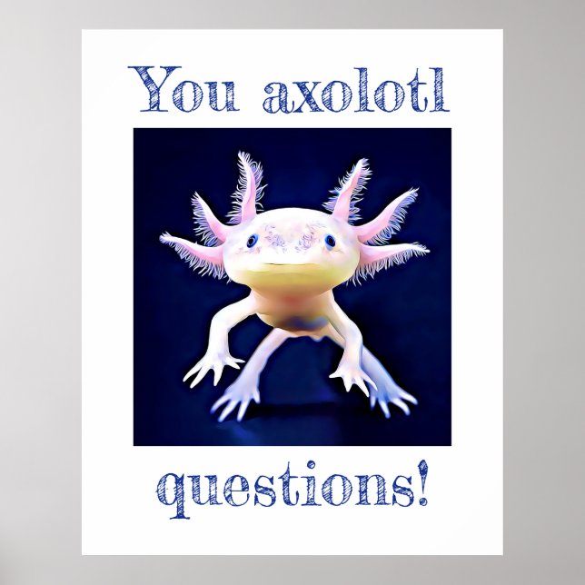 Axolotl Salamander Amphibian Poster (Framsidan)