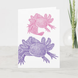 Axolotl Tom Kort - RÖD & LILA