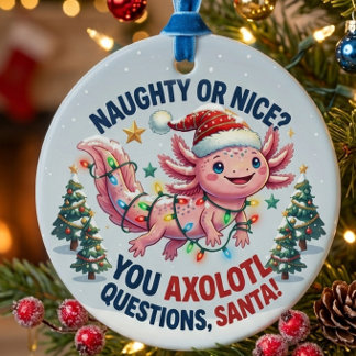 Axolotl Tomte Ornament - Du Axolotl Frågor Kul