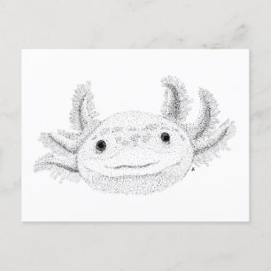 Axolotl Vykort