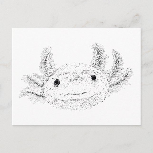 Axolotl Vykort (Framsida)
