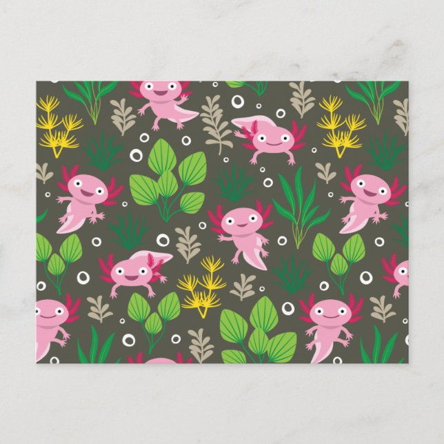 Axolotl vykort (Framsida)