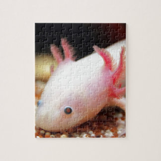 Axolotl Weißling Pussel