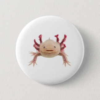 Axolotle Knapp