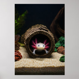Axolotls Abode Poster