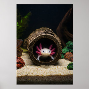 Axolotls Abode Poster