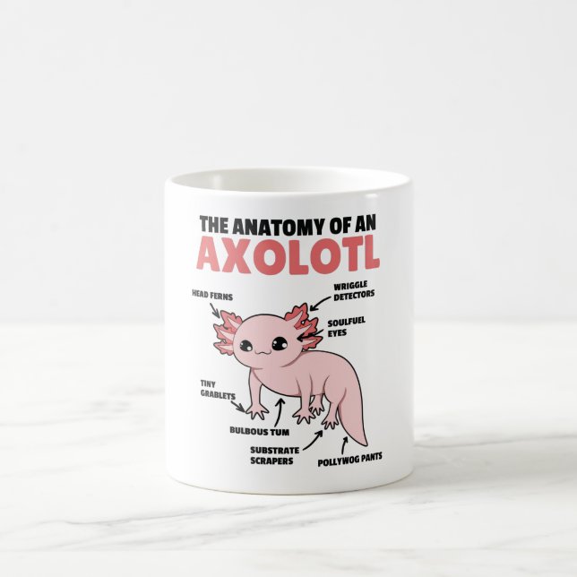 Axolotls förklarande anatomi hos en axolotl kaffemugg (Center)