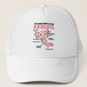 Axolotls förklarande anatomi hos en axolotl keps