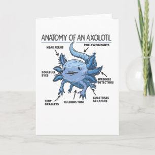 Axolotls förklarande anatomi hos en axolotl kort