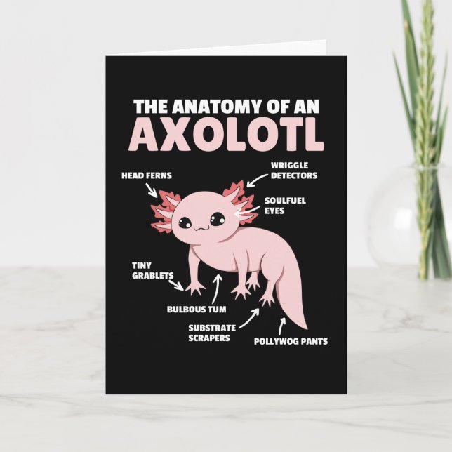 Axolotls förklarande anatomi hos en axolotl kort (Framsida)