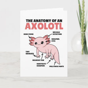 Axolotls förklarande anatomi hos en axolotl kort