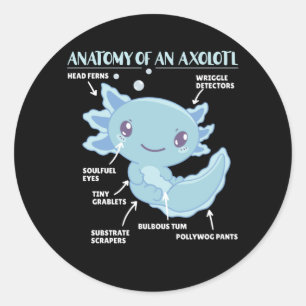 Axolotls förklarande anatomi hos en axolotl runt klistermärke