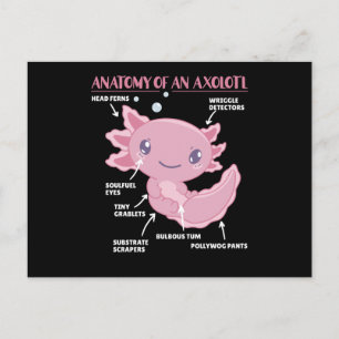 Axolotls förklarande anatomi hos en axolotl vykort