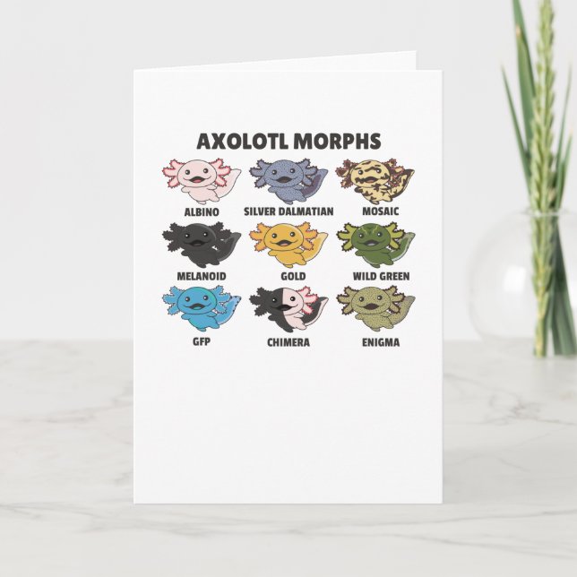 Axolotls från World Sweet Animals Axolotl Kort (Framsida)