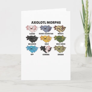 Axolotls från World Sweet Animals Axolotl Kort