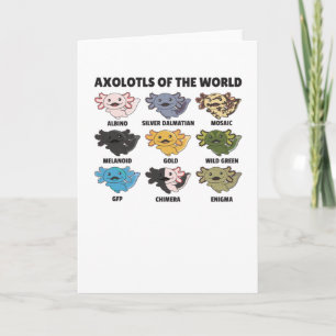 Axolotls från World Sweet Animals Axolotl Kort