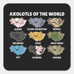 Axolotls från World Sweet Animals Axolotl Squa Fyrkantigt Klistermärke