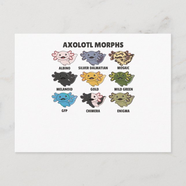 Axolotls från World Sweet Animals Axolotl Vykort (Framsida)
