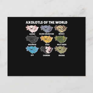 Axolotls från World Sweet Animals Axolotl Vykort