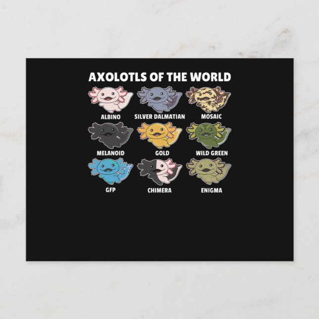 Axolotls från World Sweet Animals Axolotl Vykort (Framsida)
