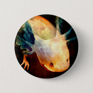 Axolotlsol Knapp