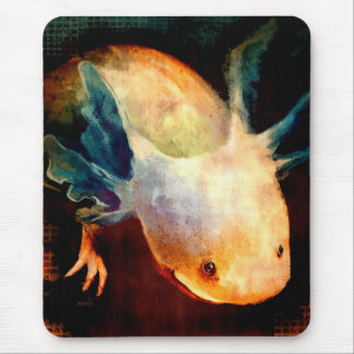 Axolotlsol Musmatta