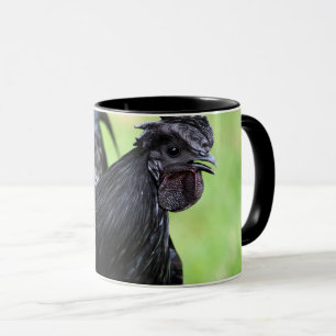 Ayam Cemani svart tupp Mugg