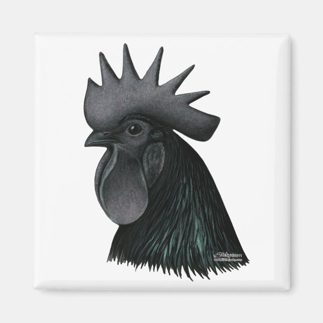 Ayam Cemani Tupp Head Magnet (Framsidan)