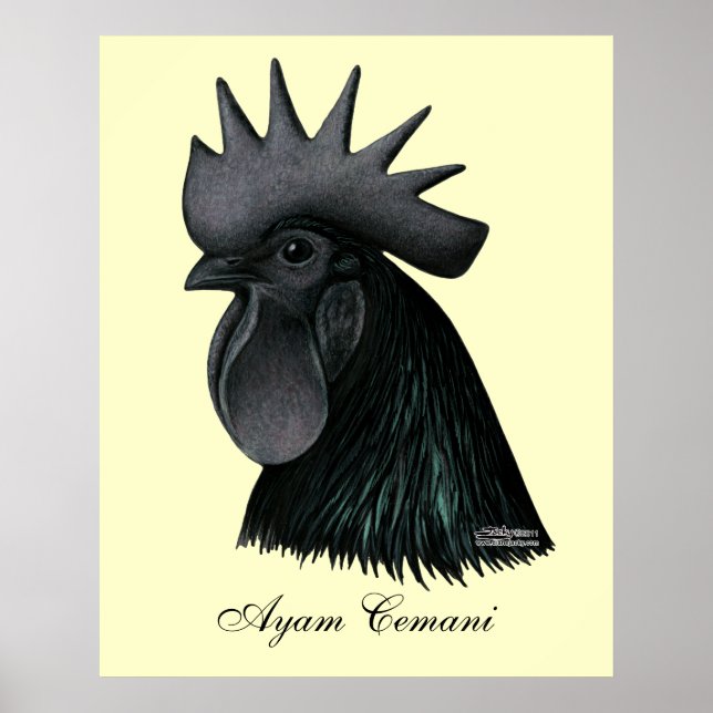 Ayam Cemani Tupp Head Poster (Framsidan)