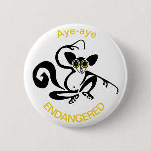 Aye-aye - knapp