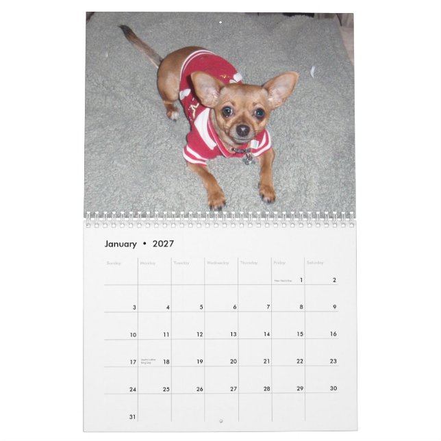 Aye Chihuahua 2011 Kalender (Jan 2027)