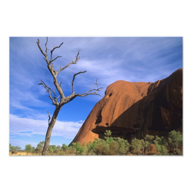 Ayers Rock Uluru i Outback Australien Fototryck (Framsidan)