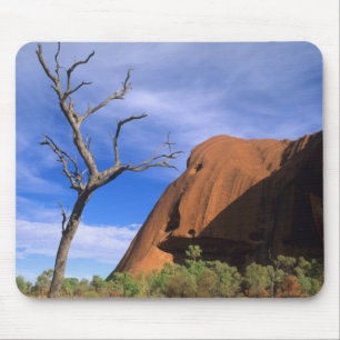 Ayers Rock Uluru i Outback Australien Musmatta