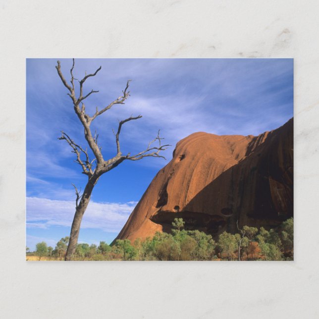 Ayers Rock Uluru i Outback Australien Vykort (Framsida)