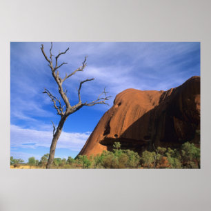 Ayers Sten Uluru i Outback Australia Poster